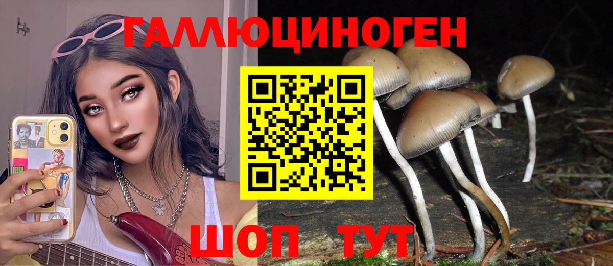Галлюциногенные грибы Psilocybe Чусовой