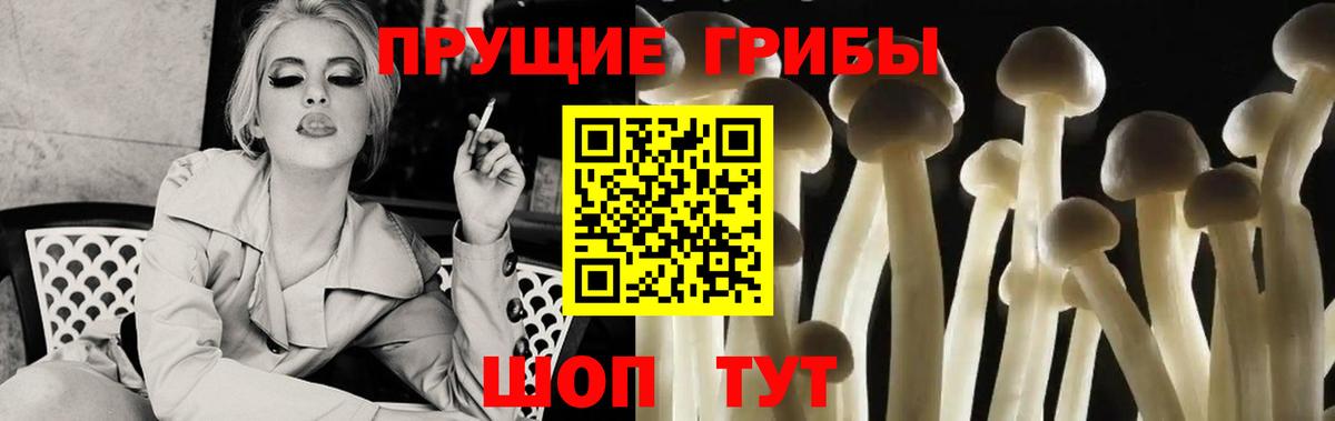 Чусовой  Галлюциногенные грибы мухоморы  Вход с VPN  Галлюциногенные грибы прущие грибы 
