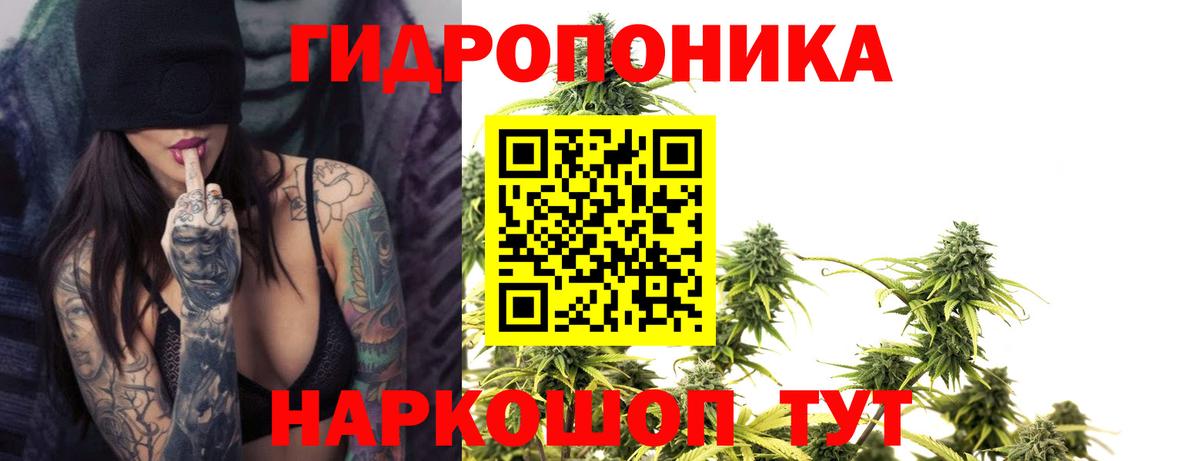 Шишки марихуана сатива  Бошки Шишки ГИДРОПОН  Чусовой  Каннабис OG Kush  Бошки Шишки SATIVA & INDICA  Вход с VPN 